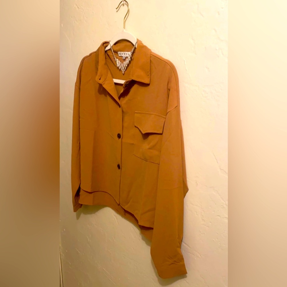 beautiful and elegant lady's dress blouse